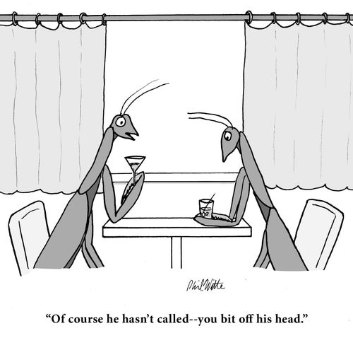 "Of course he hasn't called - you bit off his head."