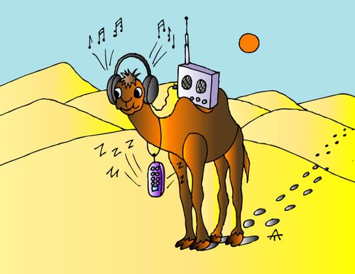 Camel Boom Box