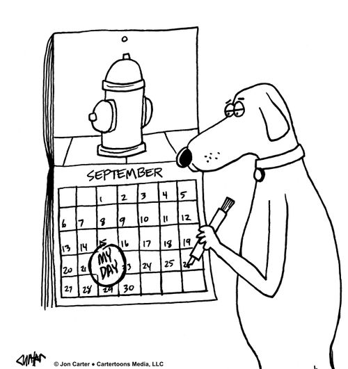 Every Dog Has His Day