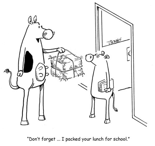 "Don't forget... I packed your lunch for school..."