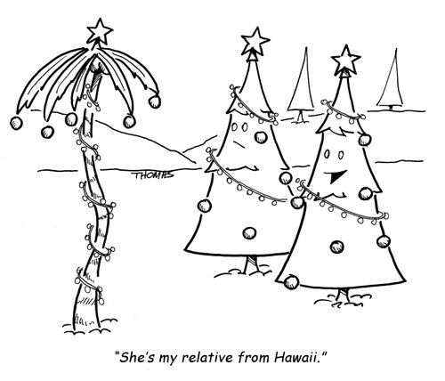 "He's my relative from Hawaii."