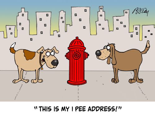"This is my I Pee Address!"