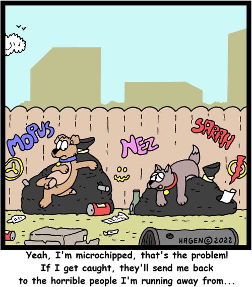 "Yeah, I'm microchipped, that's the problem! If I get caught, they'll send me back to the horrible people I'm running away from..."