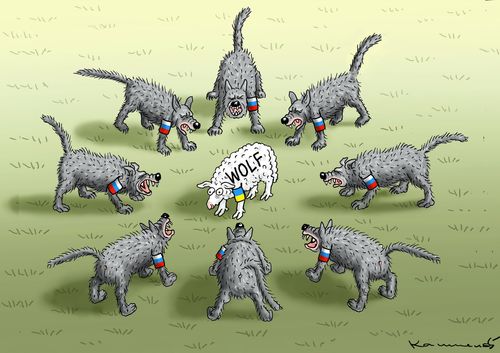 Russian Wolf