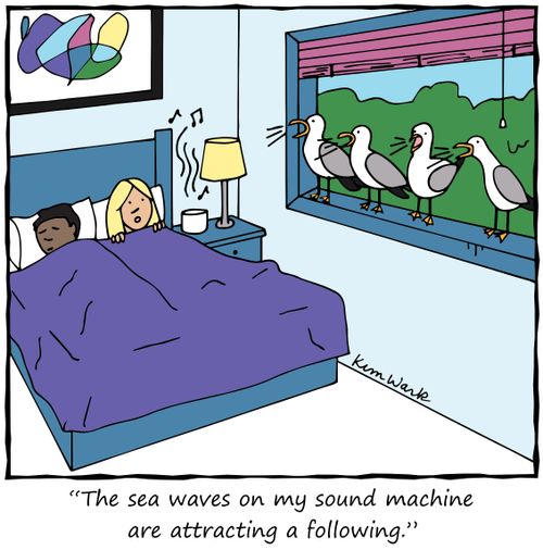 "The sea waves on my sound machine are attracting a following."