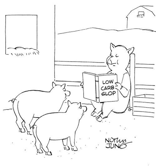 Low Carb Slop