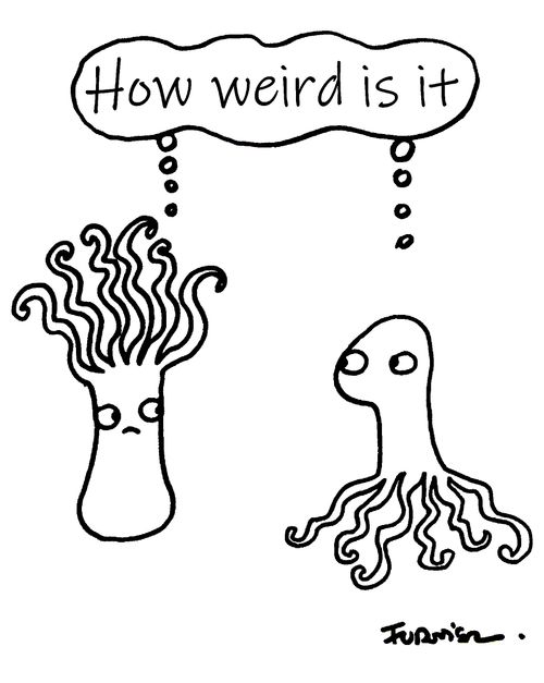 "How weird is it?"