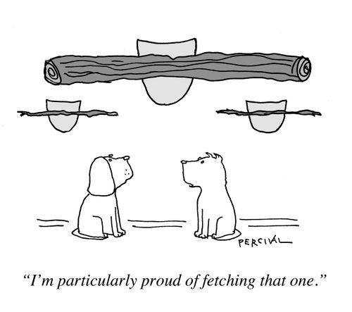 "I'm particularly proud of fetching that one."