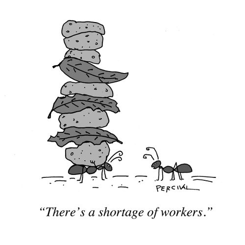 "There's a shortage of workers."