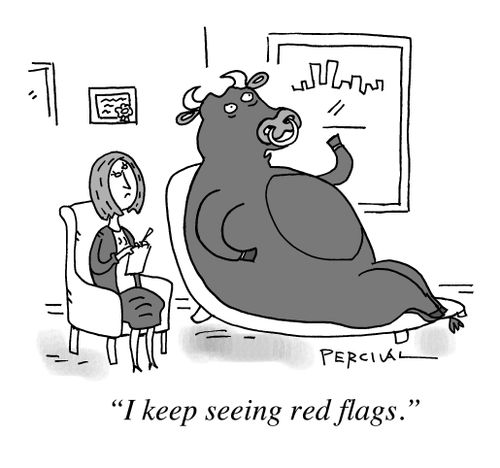 "I keep seeing red flags."