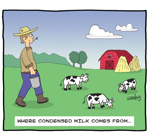 Where condensed milk comes from...
