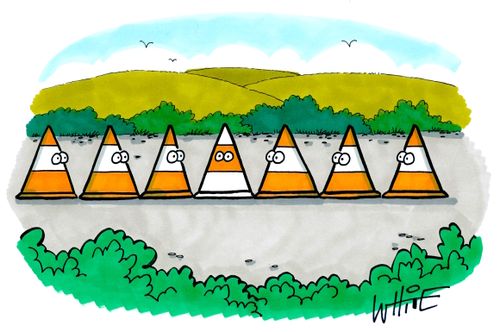 Unique Traffic Cones