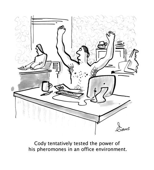 Cody tentatively tested the power of his pheromones in an office environment.