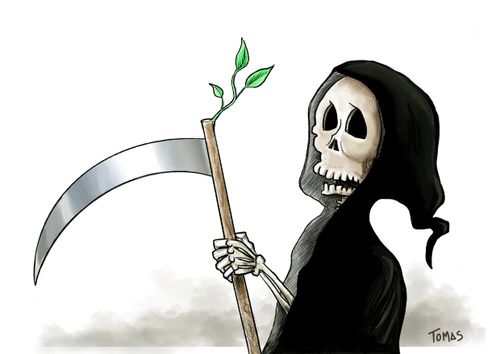 New life (organ donation)