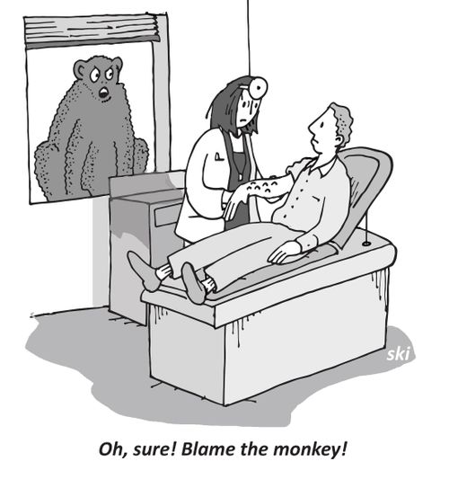"Oh, sure! Blame the monkey!"
