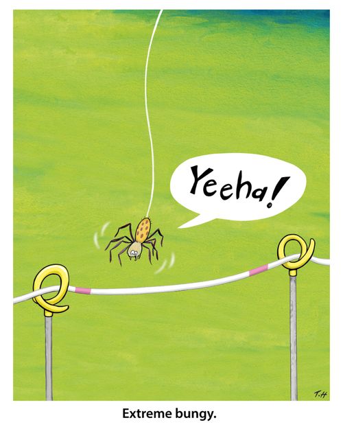 Extreme Bungy
