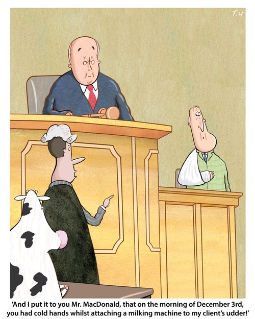 "And I put it to you Mr. MacDonald, that on the morning of December 3rd, you had cold hands whilst attaching a milking machine to my client's udder!"
