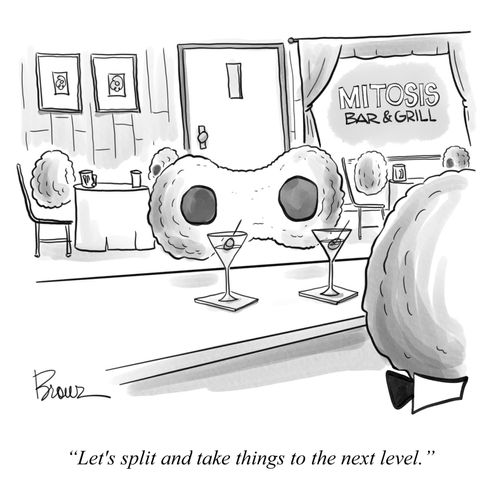 "Let's split and take things to the next level."