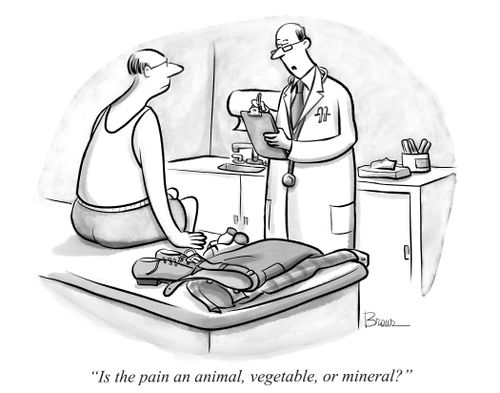 "Is the pain and animal vegetable or mineral?"