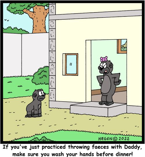 "If you've just practiced throwing faeces with Daddy, make sure you wash your hands before dinner!"