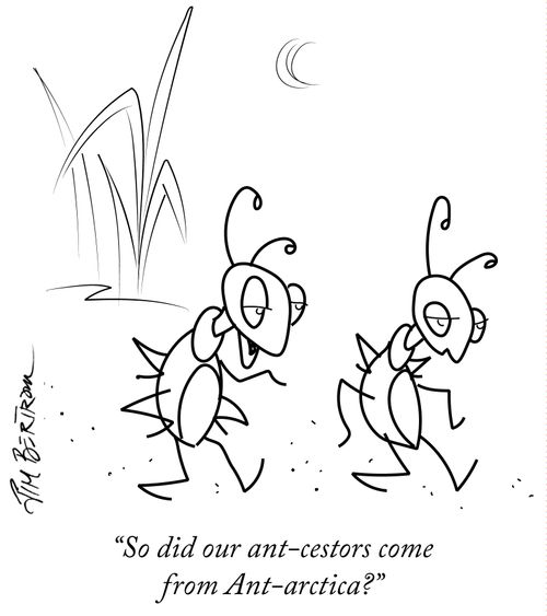 "So our ant-cestors come from Ant-artica?"