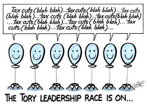 The Tory leadership race is on...