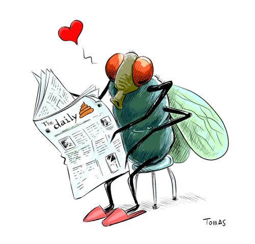 Fly reading a newspaper