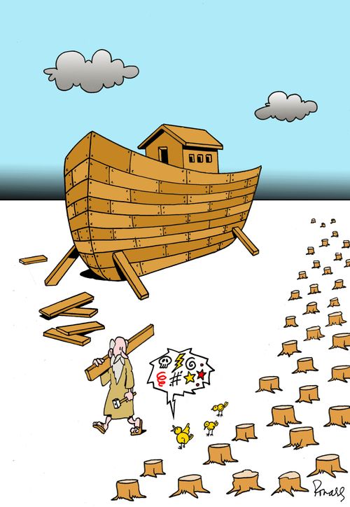 Cutting Down Trees to Build the Ark