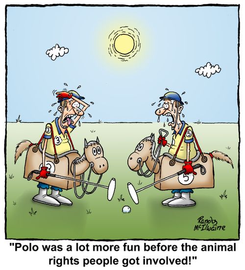 "Polo was a lot more fun before the animal rights people got involved!"
