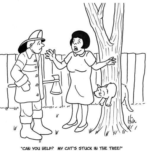 "Can you help? My cat's stuck in the tree!"