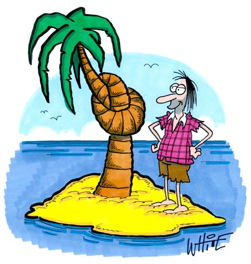 A desert island with a knotted palm tree