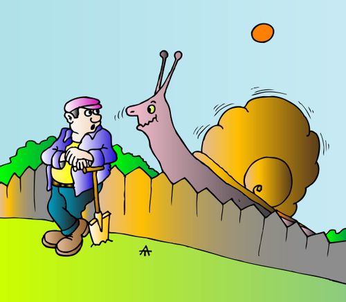 Gardener and the Giant Snail