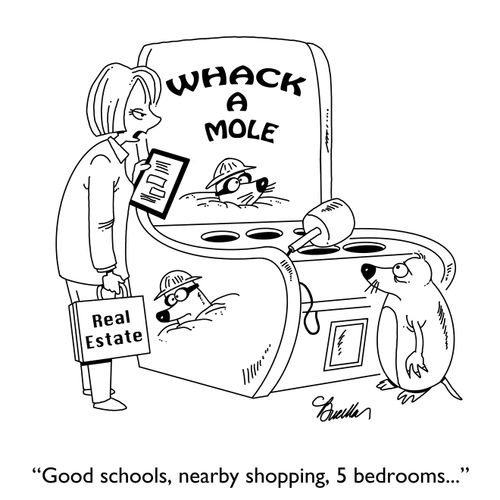 "Good schools, nearby shopping, 5 bedrooms..."