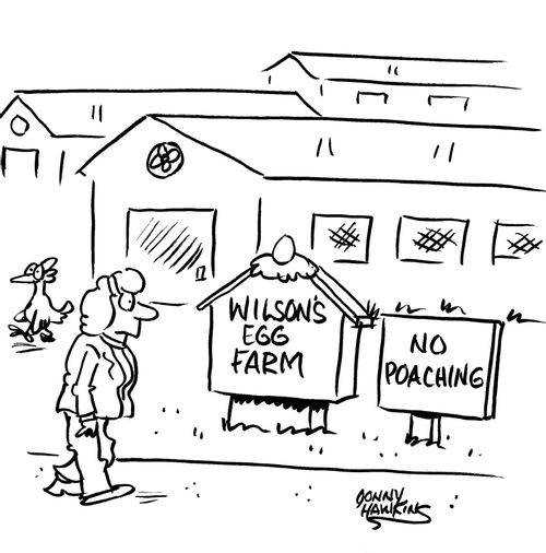 Wilson's Egg Farm: No Poaching