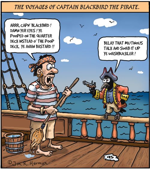 The Voyages of Captain Blackbird the Pirate