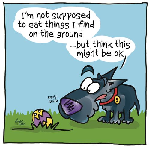 "I'm not supposed to eat things I find on the ground...but I think this might be ok."
