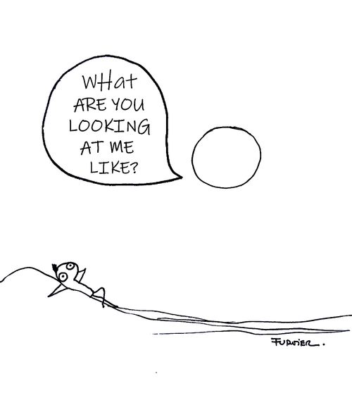 "What are you looking at me like?"