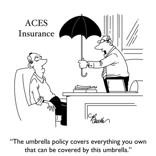 "The umbrella policy covers everything you own that can be covered by this umbrella."