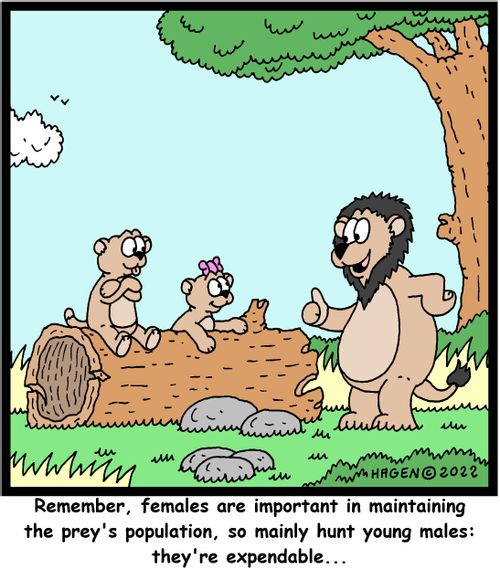 "Remember, females are important in maintaining the prey's population, so mainly hunt young males: they're expendable..."