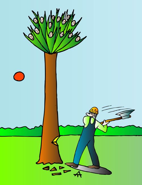 Cutting Down a Tree