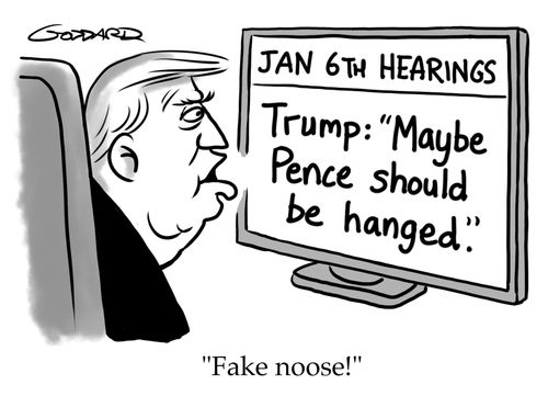 Fake noose
