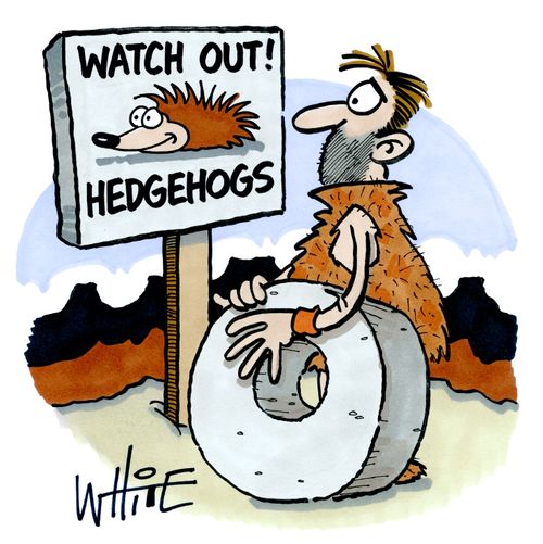 Watch Out Hedgehogs
