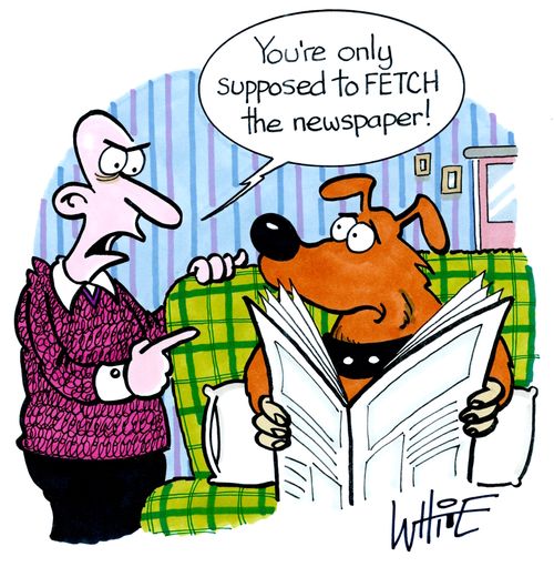 "You're only supposed to FETCH the newspaper!"