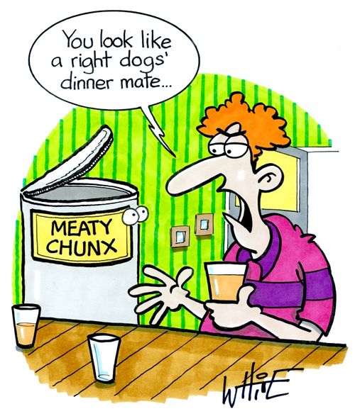 "You look like a right dogs' dinner mate..."