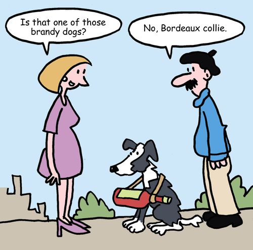 "Is that one of those brandy dogs?"