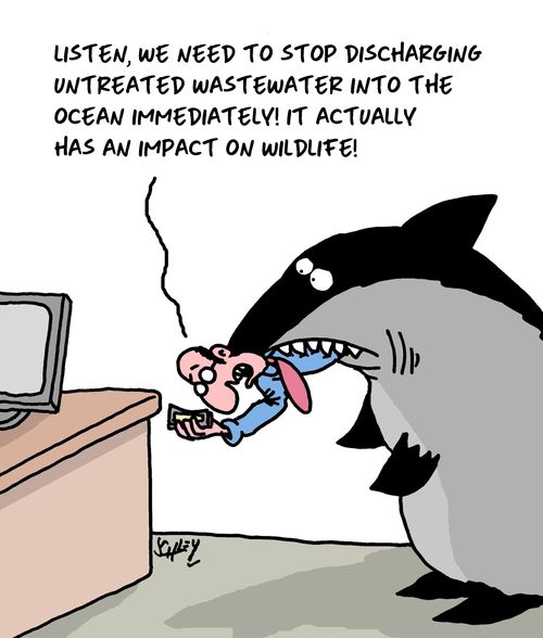 "Listen, we need to stop discharging untreated wastewater into the ocean immediately! It actually has an impact on wildlife!"