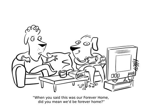 "When you said this was our Forever Home, did you mean we'd be forever home?"