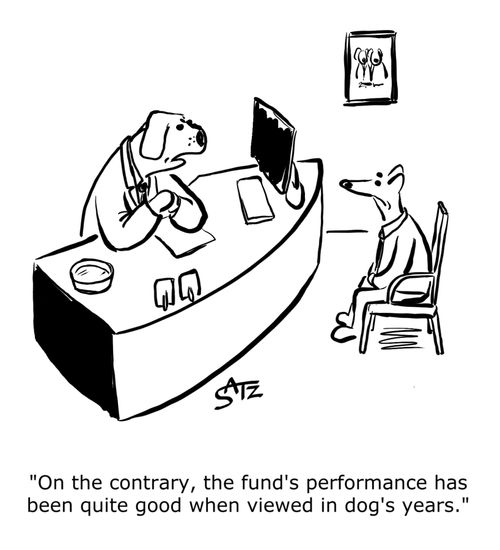 "on the contrary, the fund's performance has been quite good when viewed in dog's years."