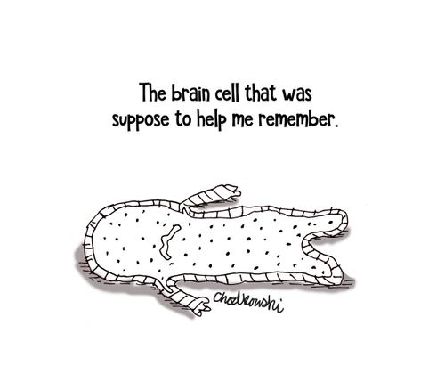 The brain cell that was suppose to help me remember.