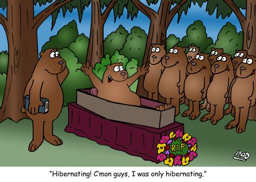 "Hibernating! C'mon guys, I was only hibernating."